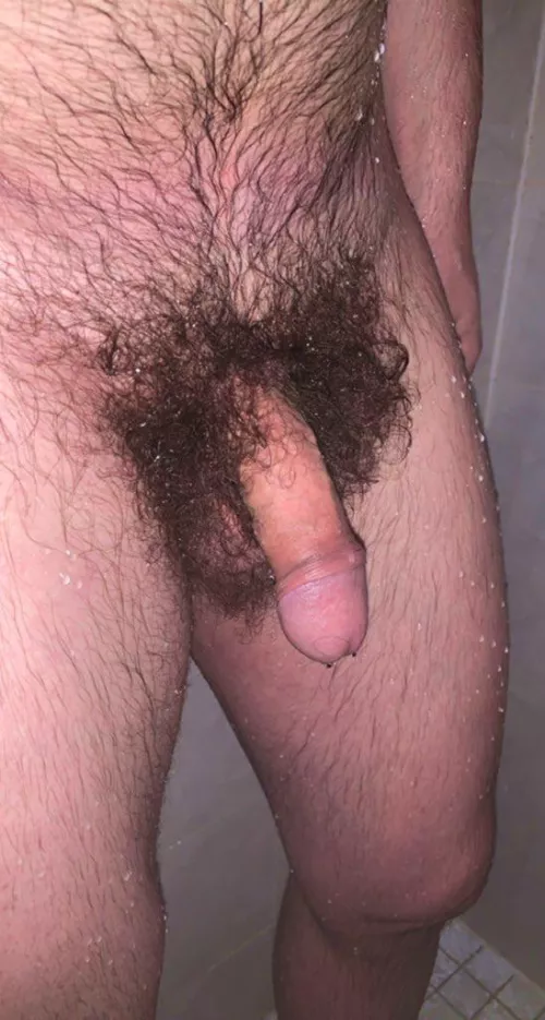 Another year, another year without trimming!