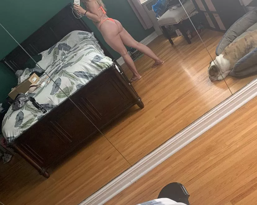 Any ass men here? Any ass men here?