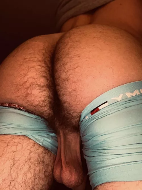Any bros in ATL wanna play with this ass?