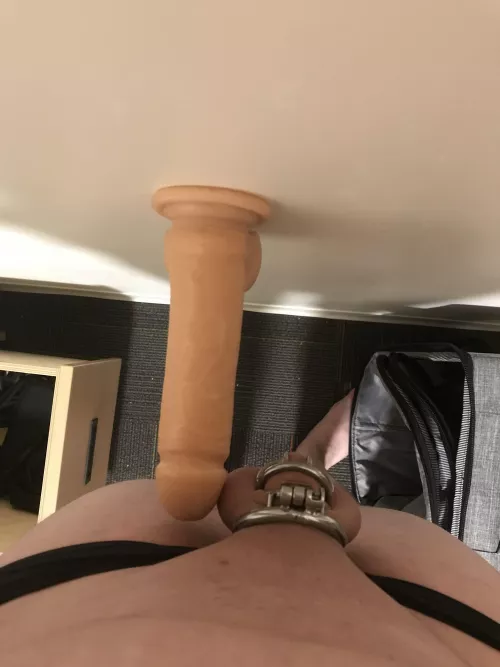 Any comparison? Any comparison?