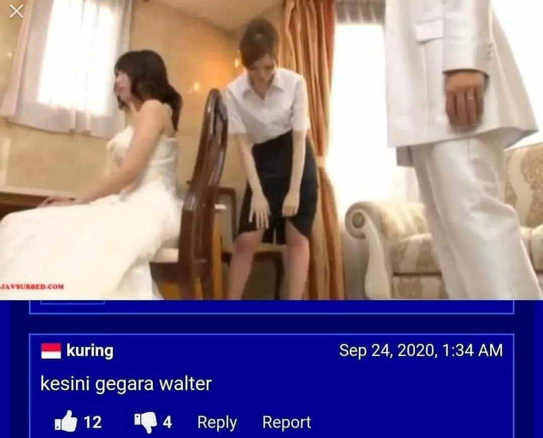 any comrades know the sauce? any comrades know the sauce?