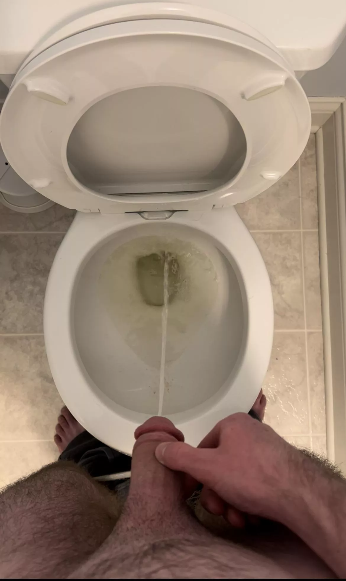 Any cuties want to replace my toilet?