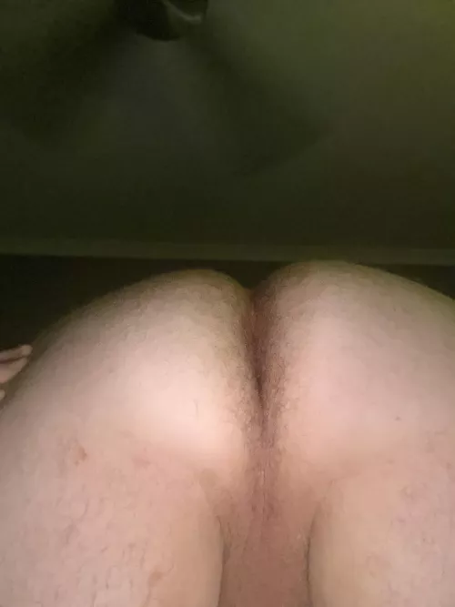 Any daddy Bears need a snack ?