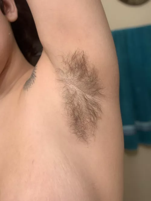 Any fans of hairy armpits on a woman?