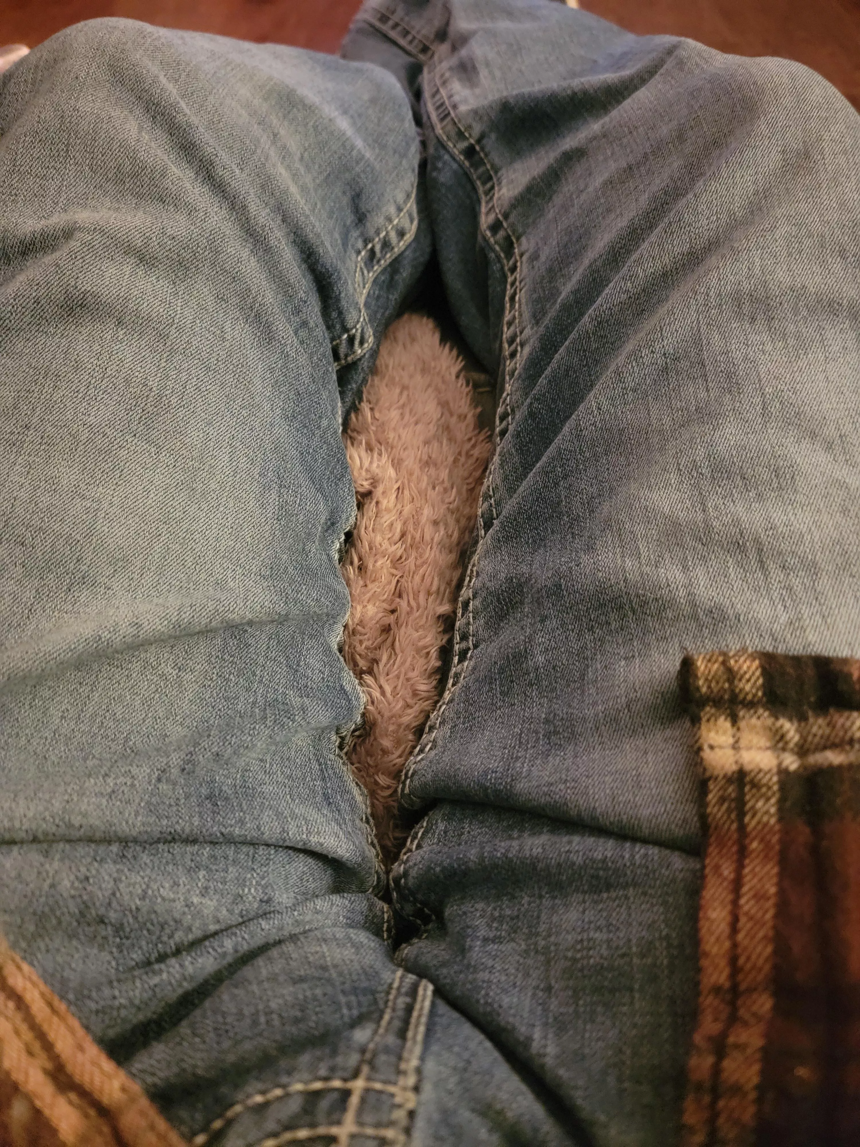 any in Sioux falls sd or near here?