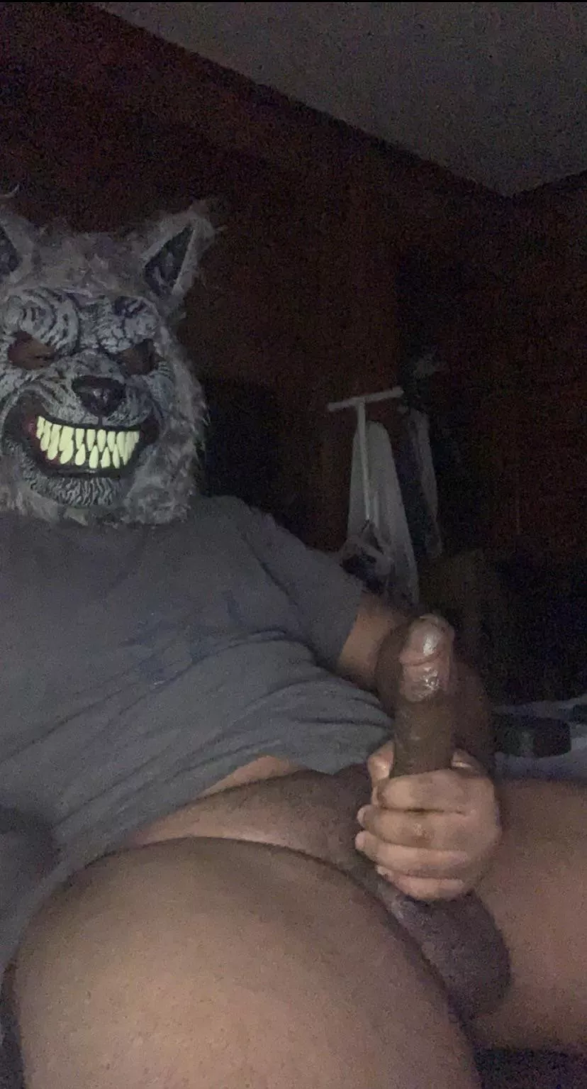 Any ladies wanna watch me stroke ? 😈 Any ladies wanna watch me stroke ? 😈