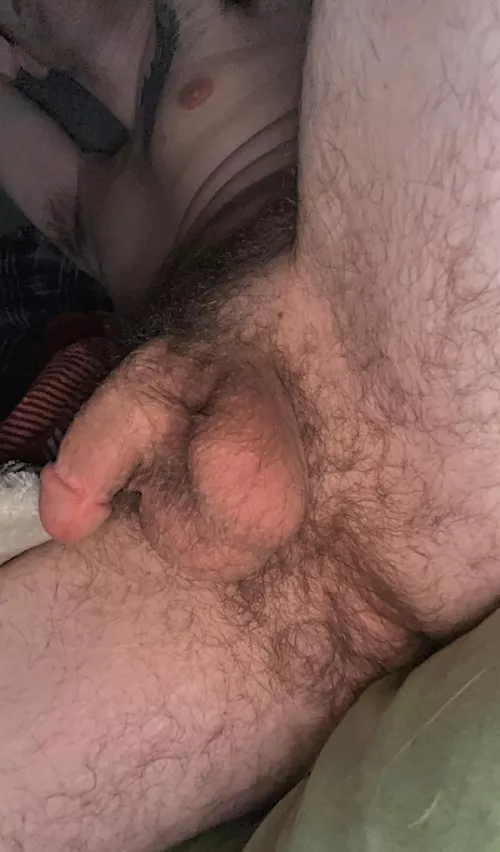 Any like a hairy taint with bush??