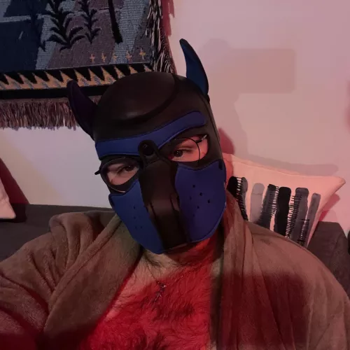 Any love for pups with glasses ?