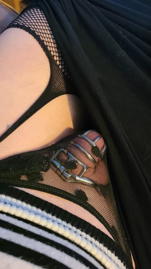 Any other sissies locked this V day? Any other sissies locked this V day?