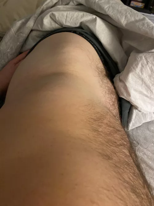 Any otters want this…