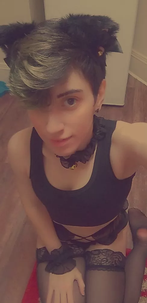 Any Place For A Stray Around Here 🤍🐾