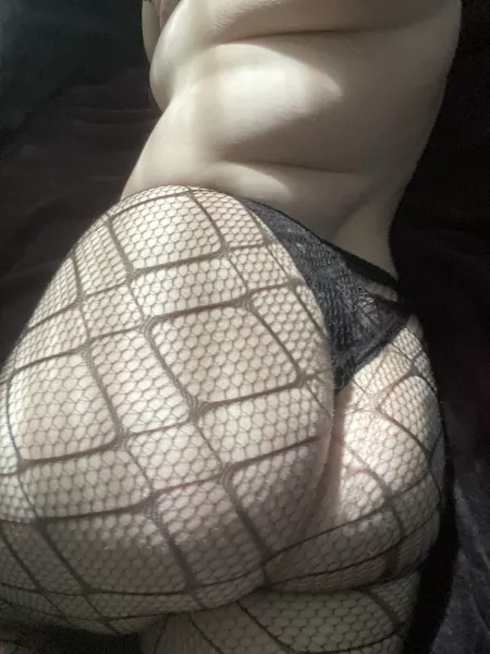 Any professional booty eaters? Any professional booty eaters?