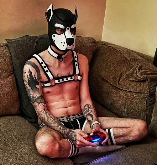 Any pups wanna play?