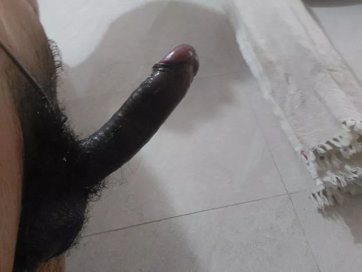 Any sissies available for fun..kik me at cnicholls0098