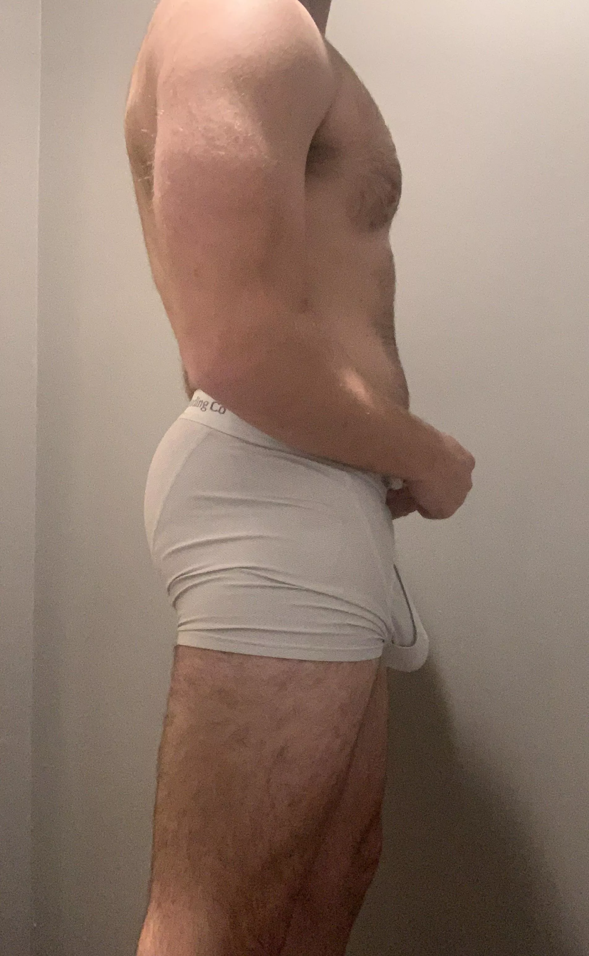 Any Tighty Whitie fans?