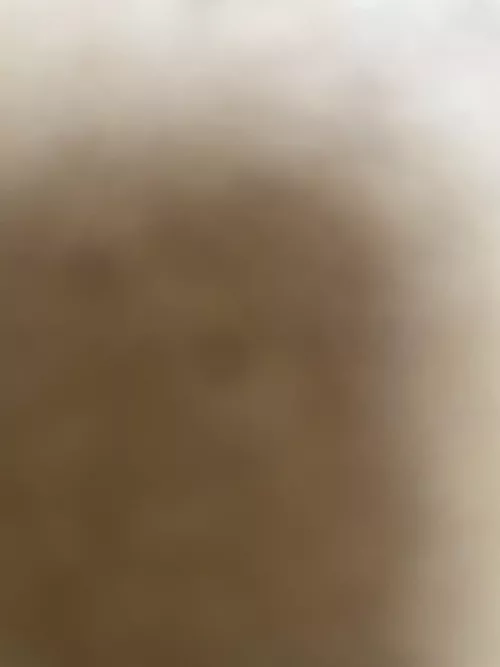 Any trans girls near Detroit mi wanna text? Or any trans girls