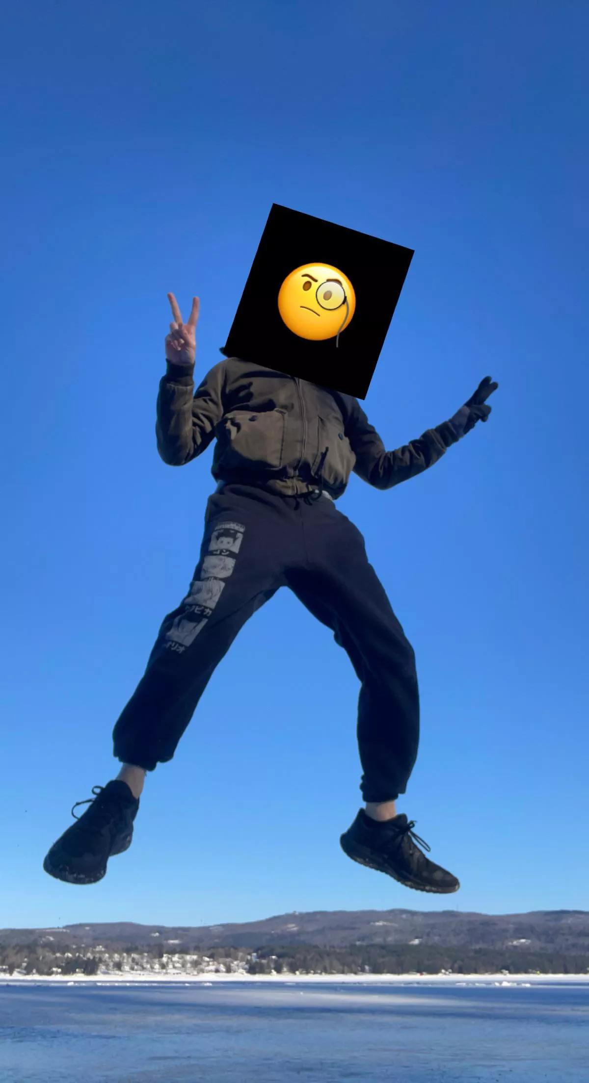 Anybody been playing Genshin Impact? Just curious 🧐