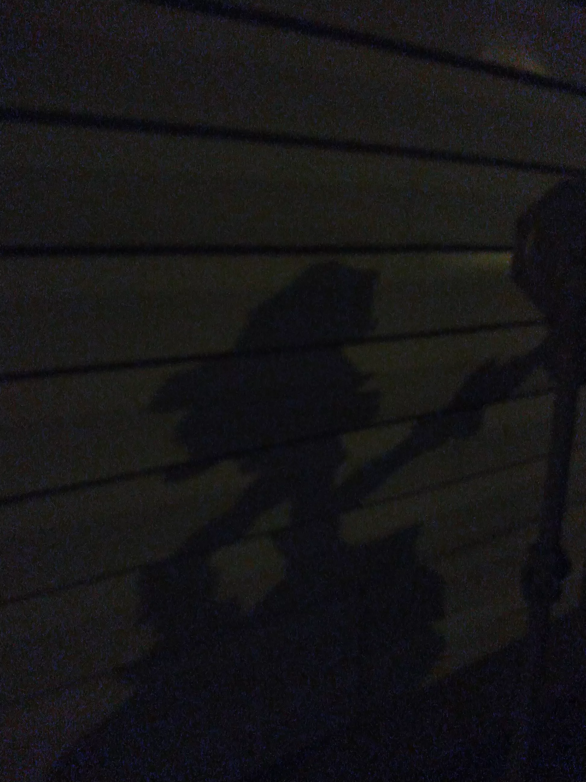 Anybody else see something besides the shadow of a gas meter? Anybody else see something besides the shadow of a gas meter?
