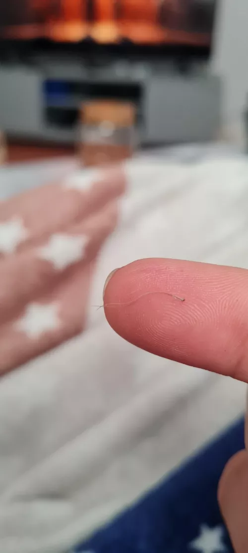 Anyone else pull out grey nose hair from time to time?