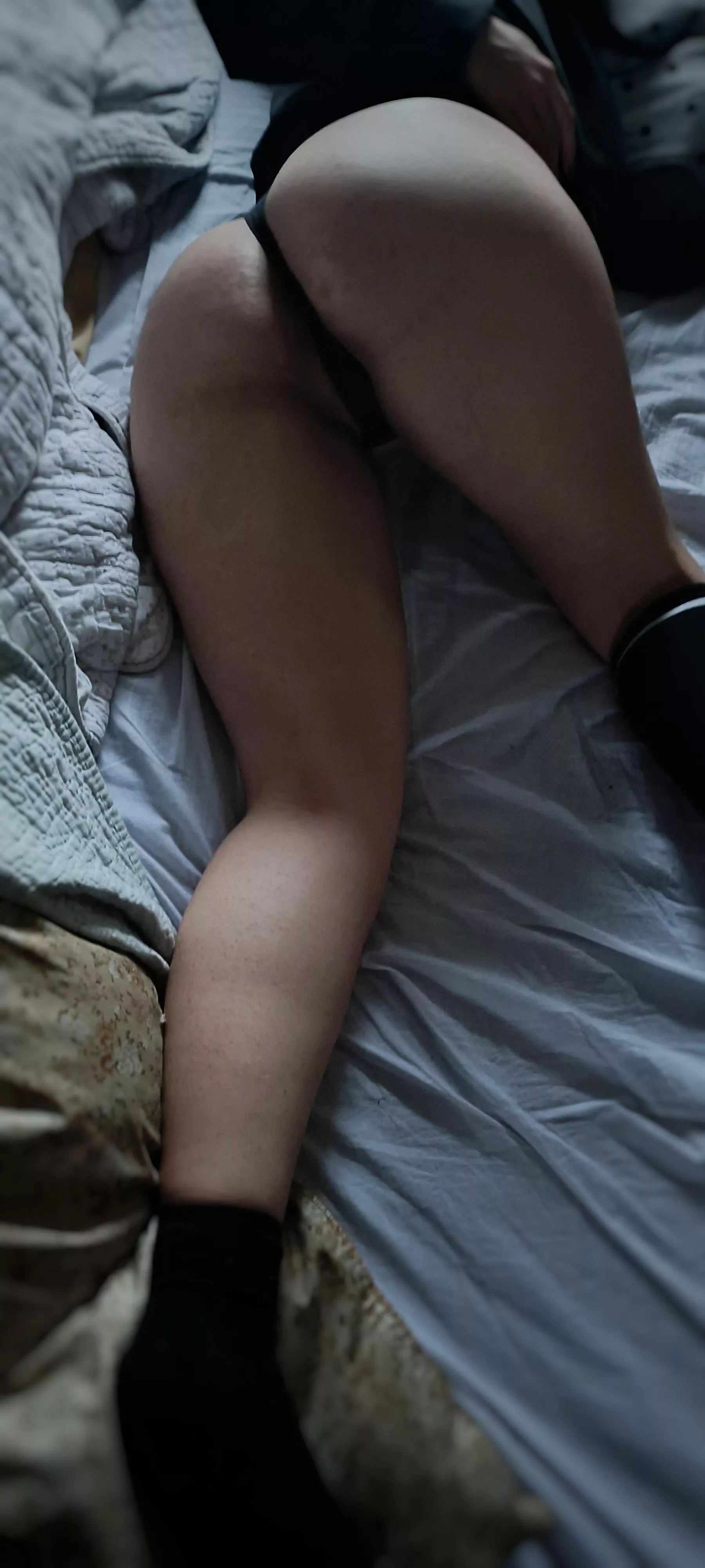 Anyone else still in bed? (oc) Anyone else still in bed? (oc)