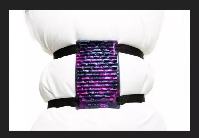 Anyone ever try one of these? If you did how was it? Anyone ever try one of these? If you did how was it?