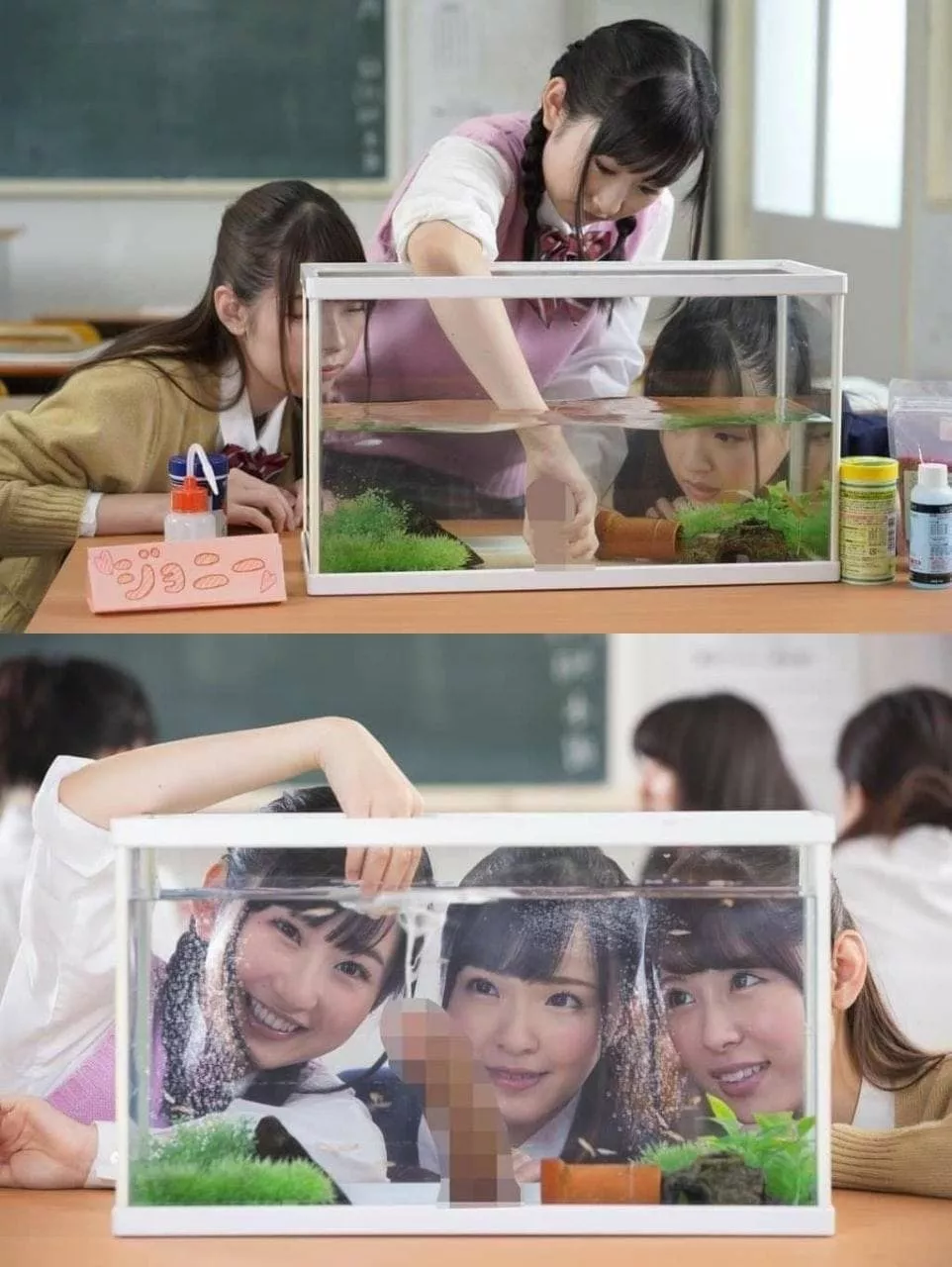 Anyone know the code or name? Anyone know the code or name?