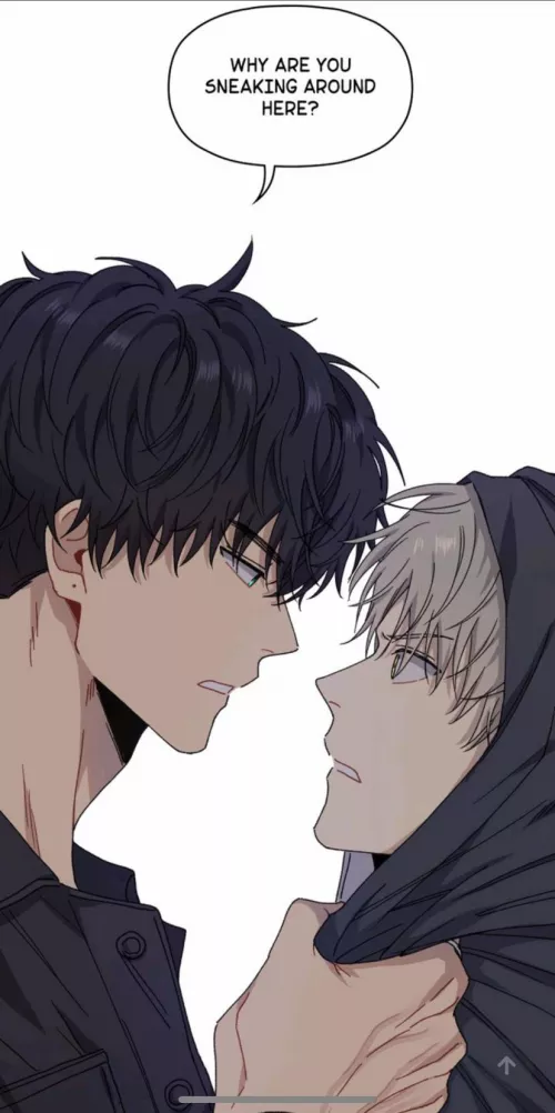 Anyone Know The Name of This? It’s The Roommate One