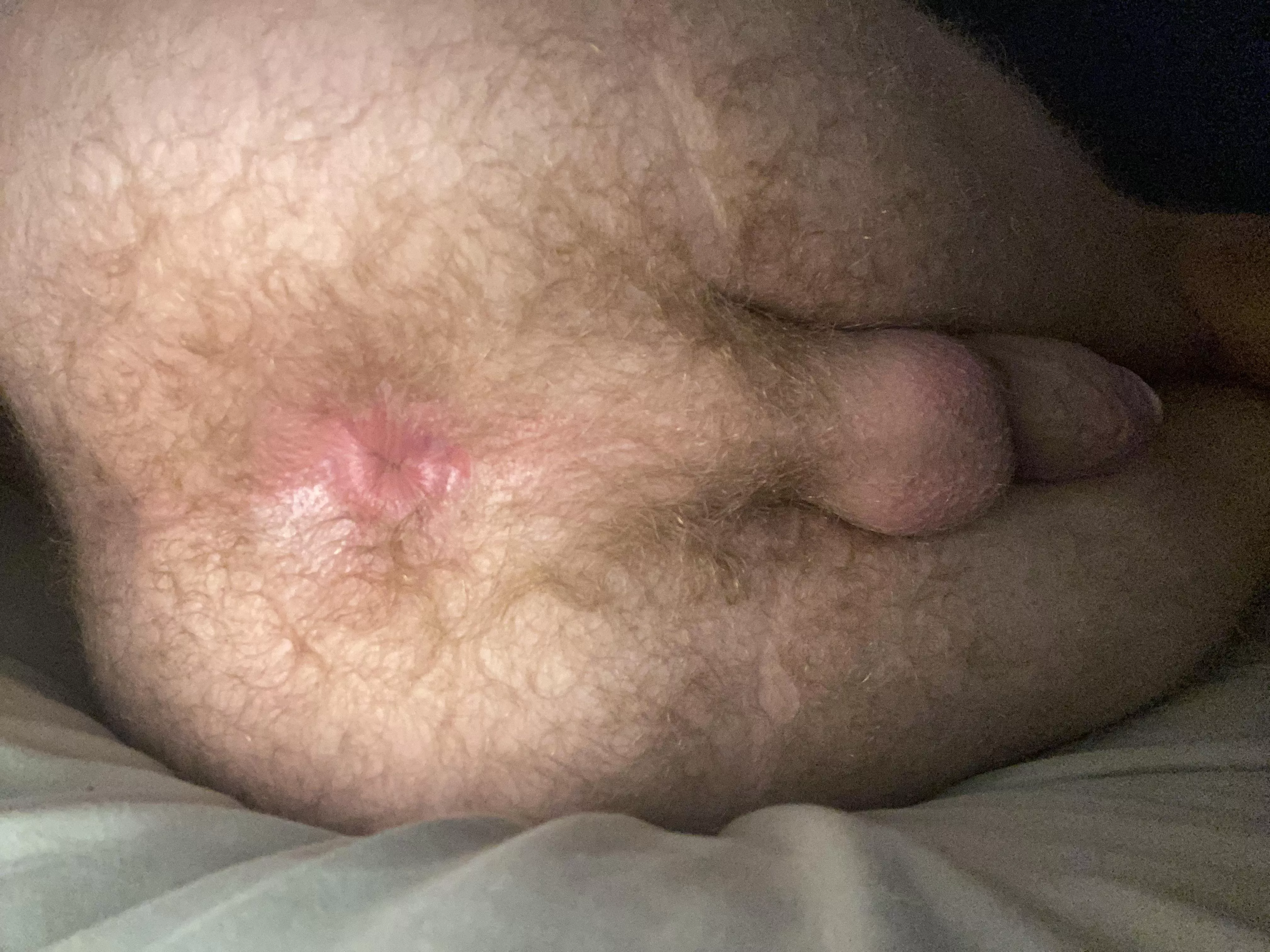 Anyone like gingers with tight pink assholes? (19) Anyone like gingers with tight pink assholes? (19)