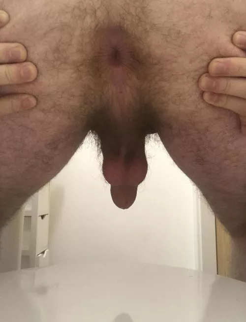 Anyone like my hairy ass and balls 👀