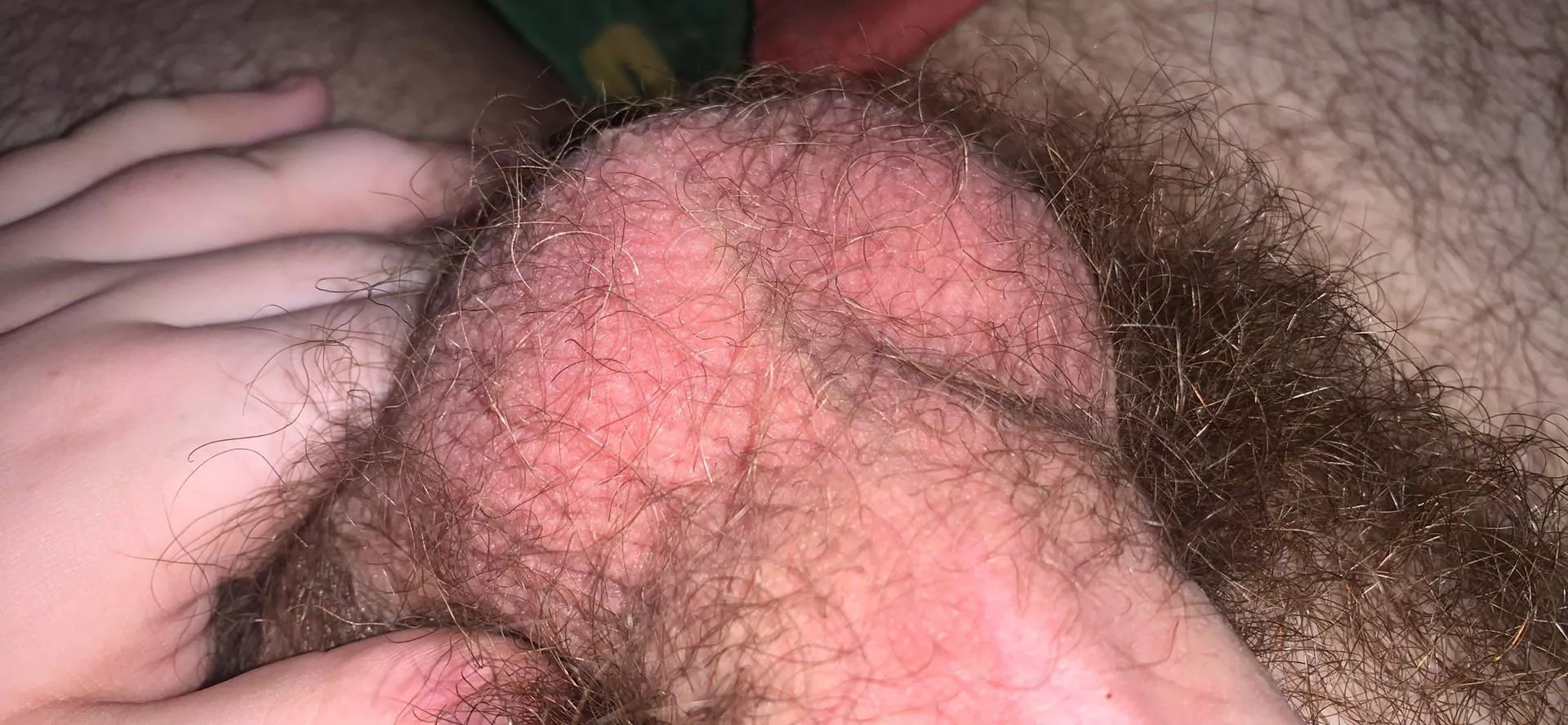 Anyone Like My Hairy Balls? Anyone Like My Hairy Balls?