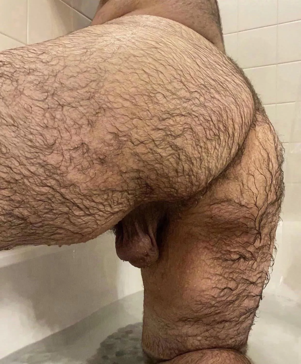 Anyone like wet and hairy?
