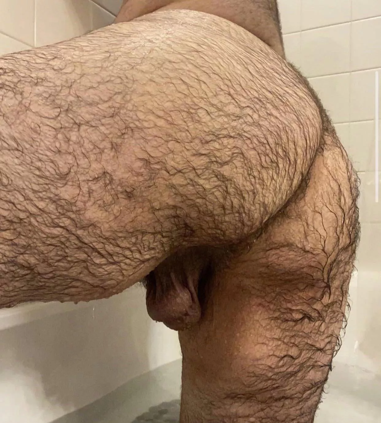 Anyone like wet hairy ass? Anyone like wet hairy ass?