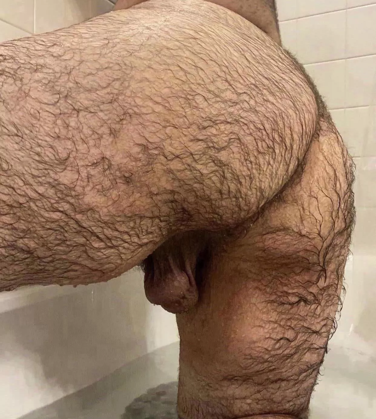 Anyone like wet hairy ass?