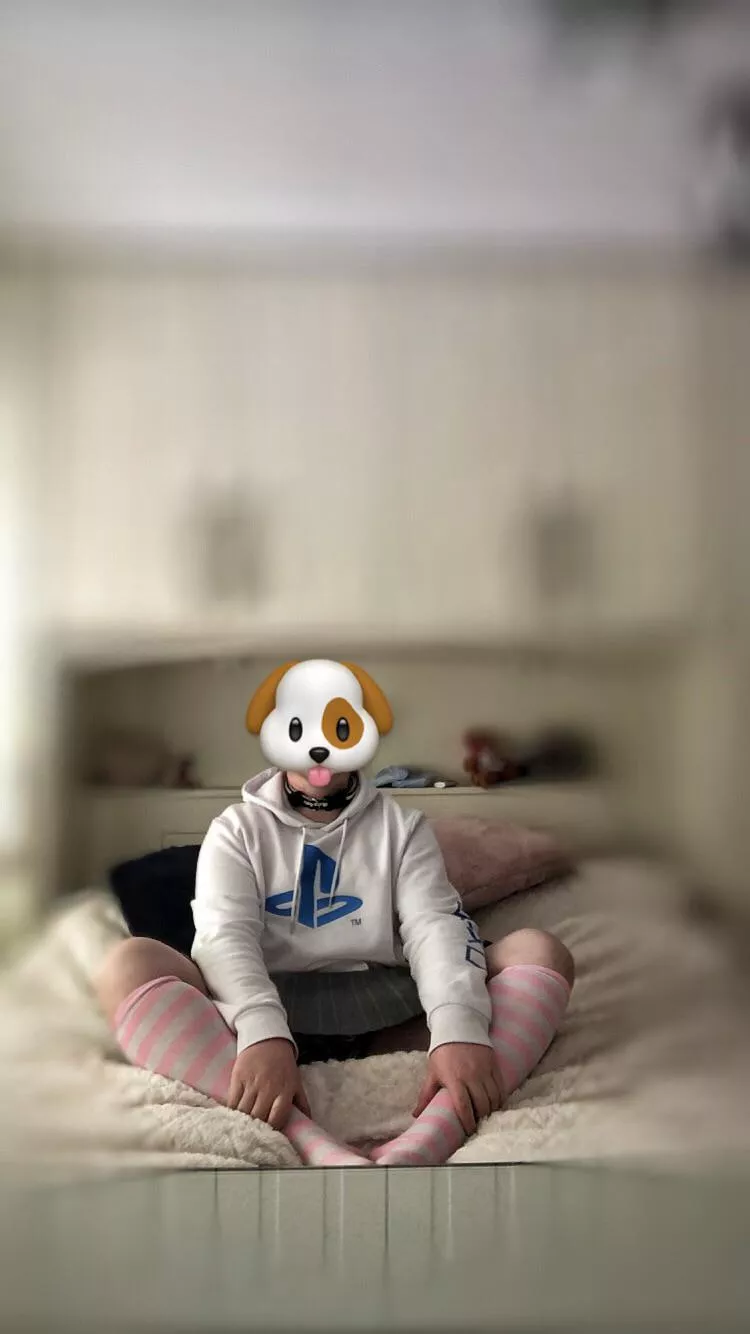 Anyone looking for a puppy 🥺🐶💕