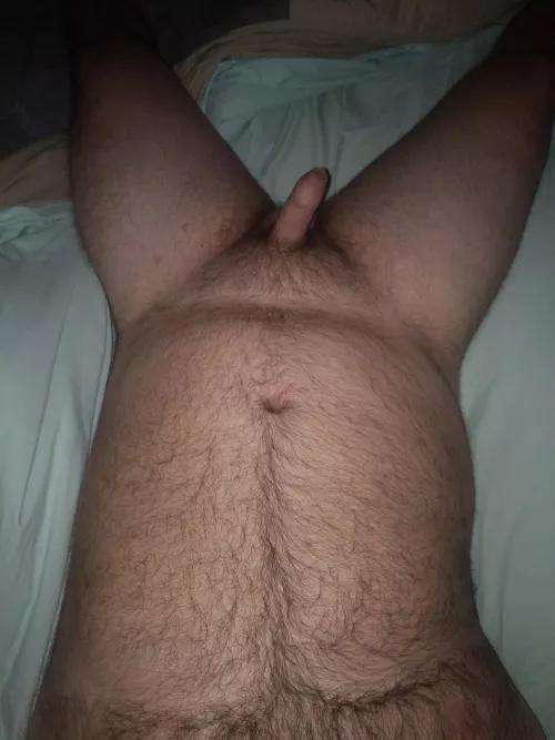 Anyone looking for a snuggle buddy