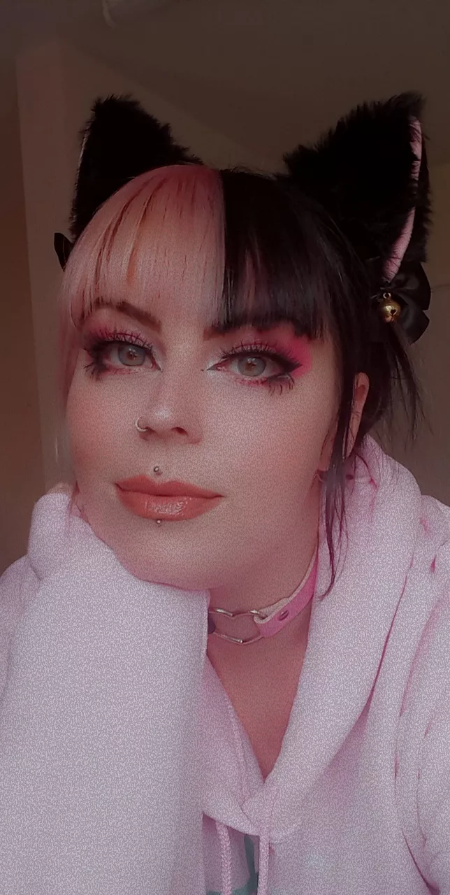 Anyone looking for a submissive kitten? ???