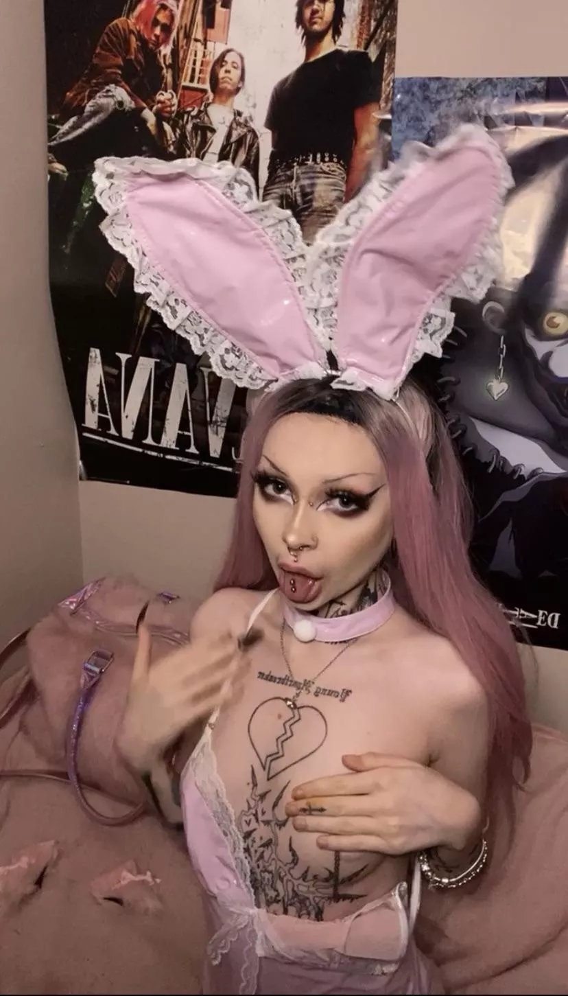 anyone need a goth bunny for Valentine’s?