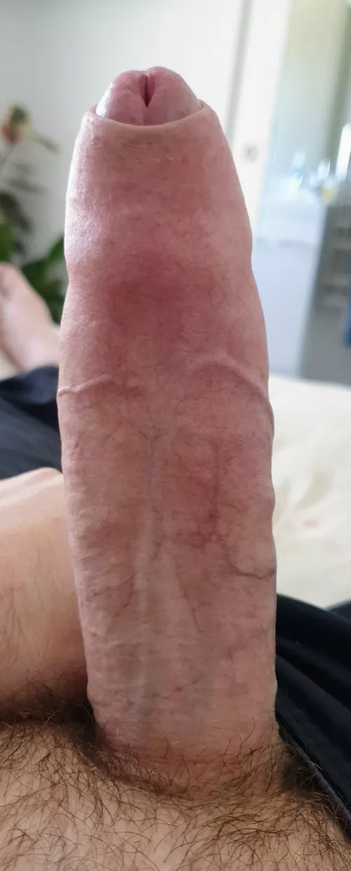 Anyone need a stuffing?