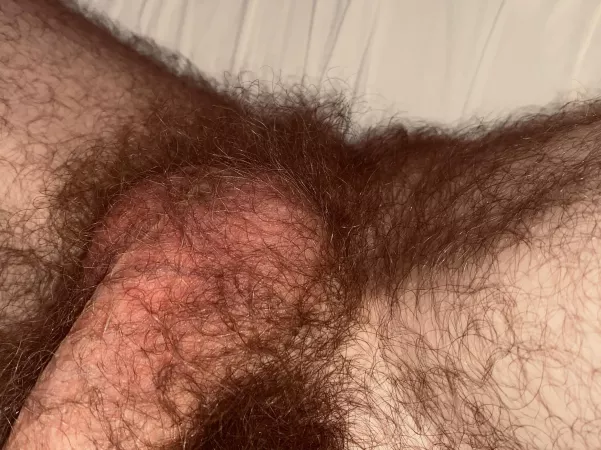 Anyone seen my balls anywhere?? Anyone seen my balls anywhere??