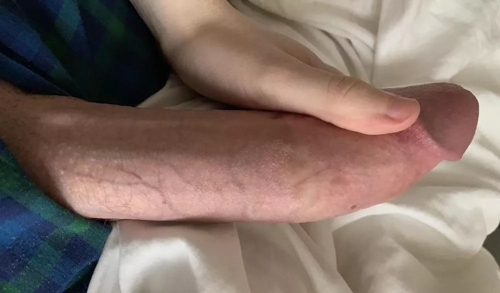 Anyone still up? (besides my cock ofc) Anyone still up? (besides my cock ofc)