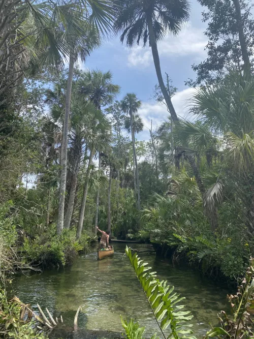 Anyone up for some florida man type paddling adventure? Might see some gators if we are lucky... Anyone up for some florida man type paddling adventure? Might see some gators if we are lucky...