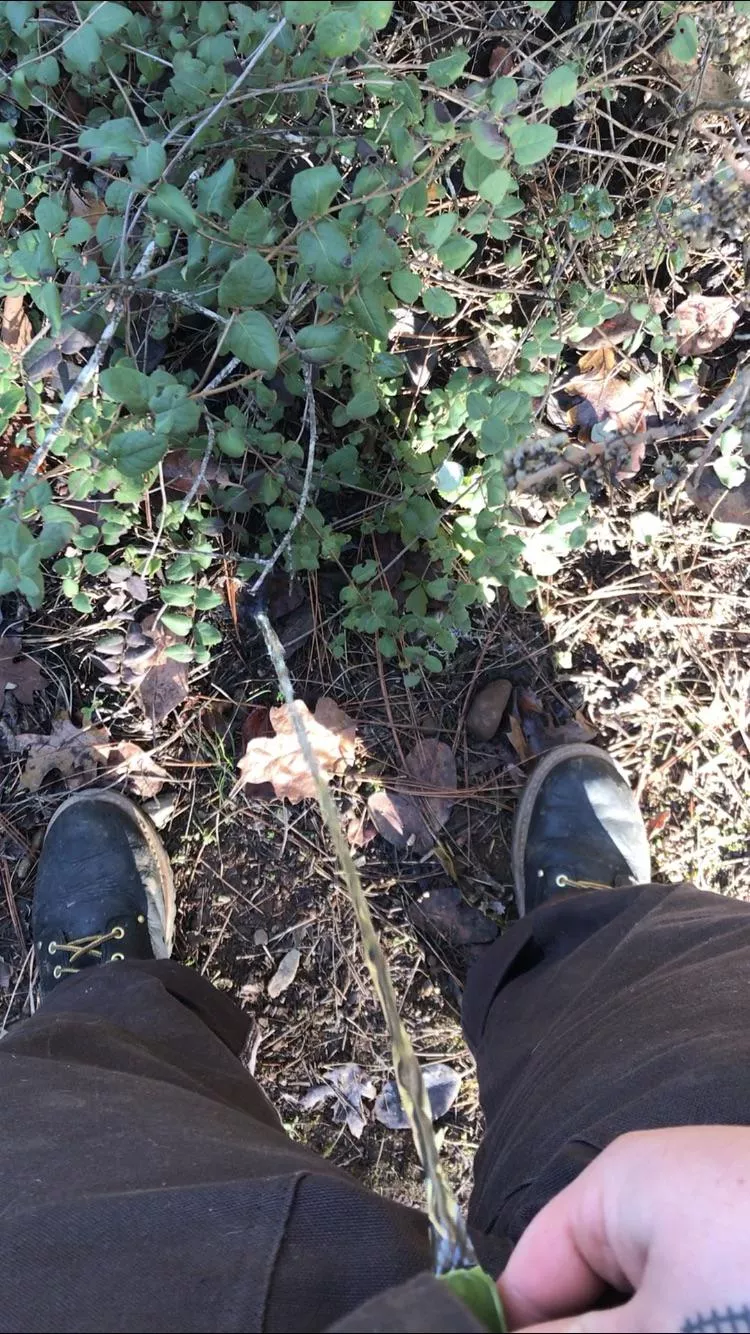 Anyone wanna catch the stream from my piss funnel? ??