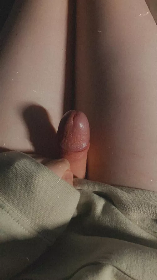 Anyone wanna cuddle? 🥺