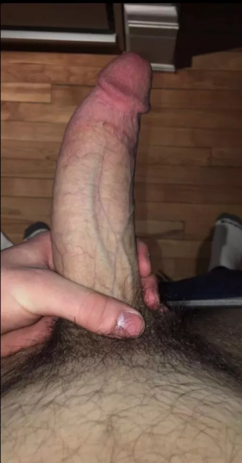 Anyone wanna feel my huge heavy college student cock in their mouth? Dm me for more!