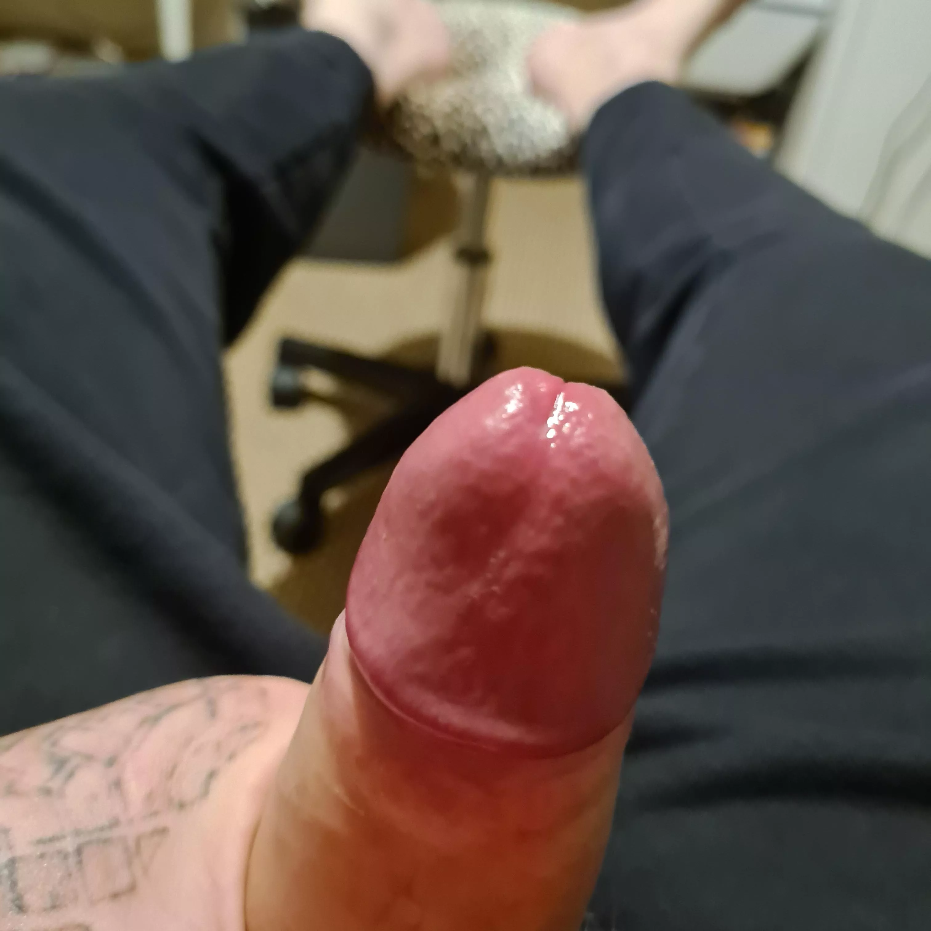 anyone wanna kick the precum off my fat cock? anyone wanna kick the precum off my fat cock?
