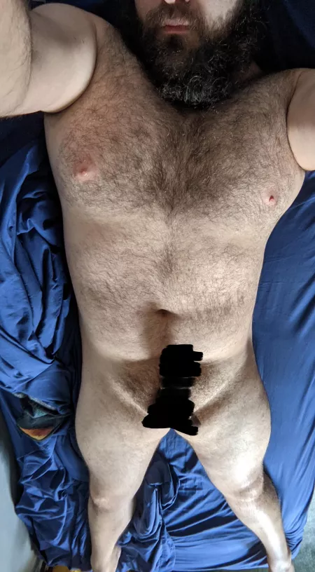 Anyone wanna lie with me and rub my fuzzy body? Anyone wanna lie with me and rub my fuzzy body?