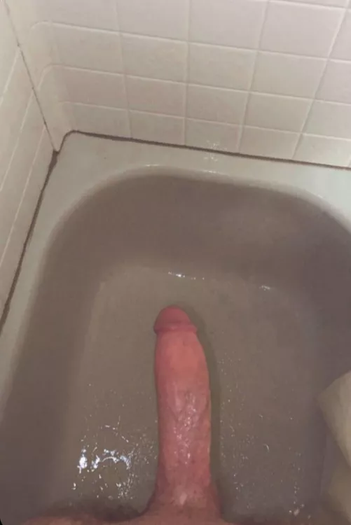 Anyone wanna watch me stroke?