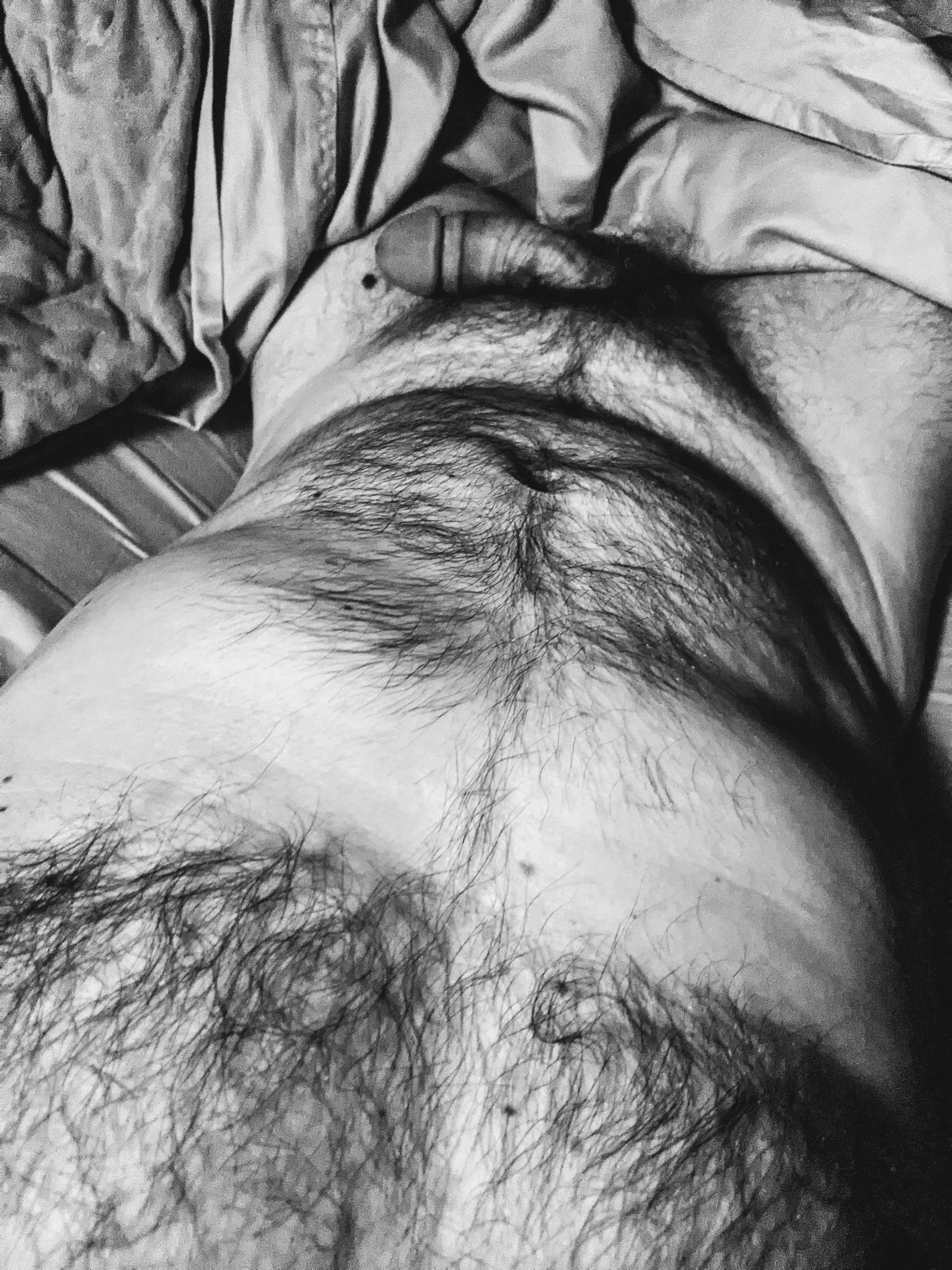 Anyone want to help wake him up? Anyone want to help wake him up?