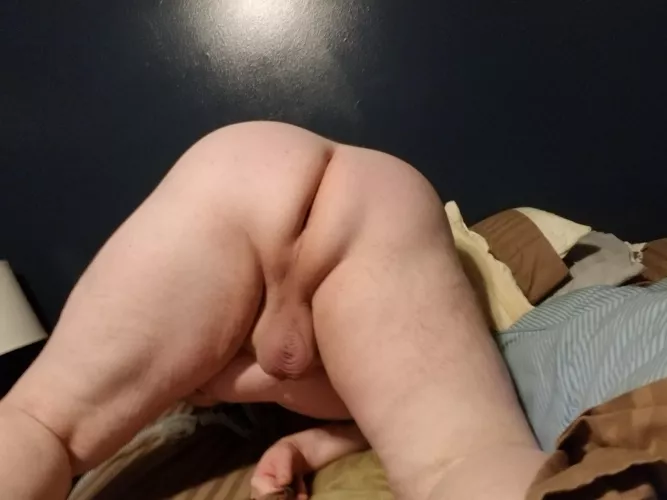 Anyone want to use it Anyone want to use it