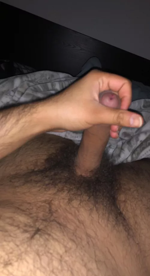 Anyone wants a hairy Latino cock?